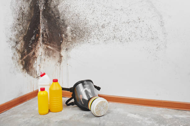 Best Water Damage Restoration  in Battle Ground, WA