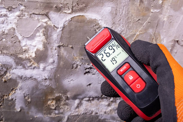 Best Mold Damage Repair  in Battle Ground, WA
