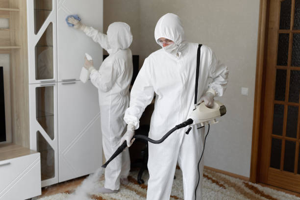 Best Commercial Mold Removal  in Battle Ground, WA