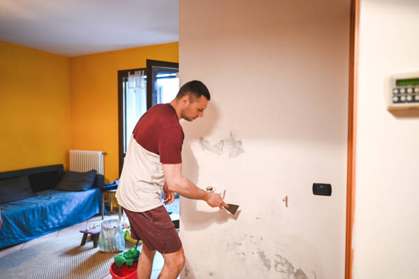 Home Mold Removal in Battle Ground, WA